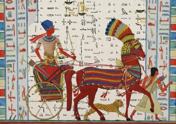 <Small Group Tour> [Classic Route] 7-Day Cairo + Red Sea + Luxor Tour, Egypt (Cairo In/Out • Visa on Arrival)