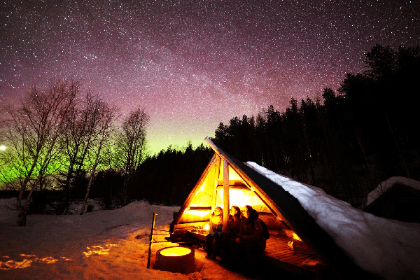 Rovaniemi, Finland: Northern Lights Picnic Day Tour [English-Speaking Group · 3 Hours]