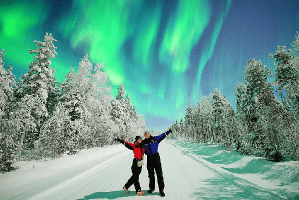 Professional Northern Lights Photography Day Tour in Rovaniemi, Finland [English-Speaking Group, 3 Hours]
