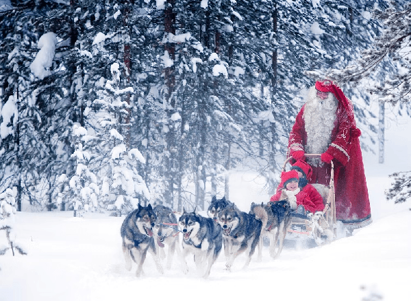 Rovaniemi, Finnish Lapland: Premium Day Tour (Sleigh Ride, Buffet Lunch, and Arctic Museum Included) [English-Speaking Group · 6 Hours]