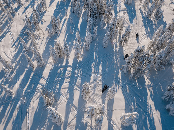 Rovaniemi, Finnish Lapland: Snowmobile and Sleigh Adventure Day Tour [English-Speaking Group · 4 Hours]