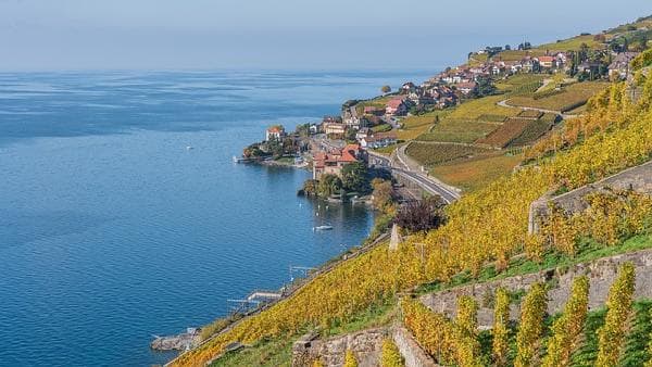 A Different Western Europe: 6-Day Tour of the Netherlands, Belgium, France, and Switzerland【Small Group Tour with Chinese-Speaking Guide】< Amsterdam to Zurich >