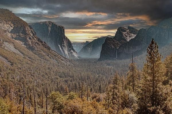 2-Day Western U.S. Tour: Yosemite National Park + Sequoia National Park (round trip from San Francisco)