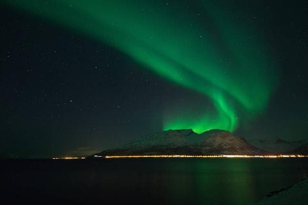 Norway Aurora Chase by Bus Day Tour [3 Hours | English-Speaking Tour · Kirkenes Round Trip]
