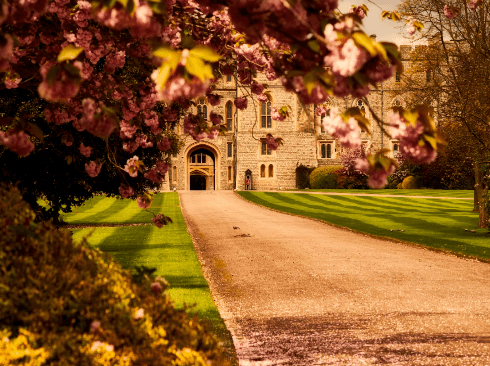 【Private UK Tour】Highlights of the Area Around London in 4 Days · Universities × Country Estates × White Cliffs Coast