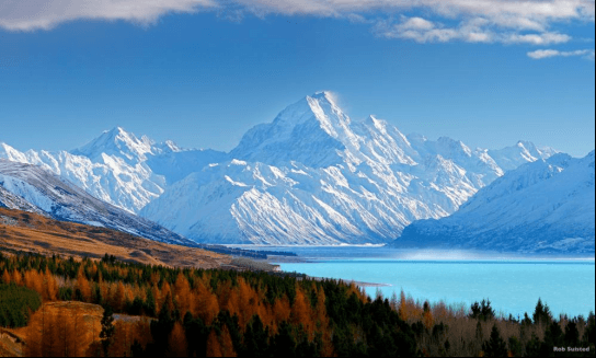 New Zealand South Island • 7-Day Central-East Route • Food Tour (Round Trip from Christchurch | 6-Day Option Available)