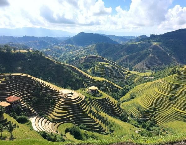 Bali, Indonesia: 6 Days, 5 Nights | Cliffside Road + Nusa Penida West Coast + Ubud Rice Terraces + Lovina Dolphin Watching (English-Speaking Photography Tour, Small Group of 2–4)