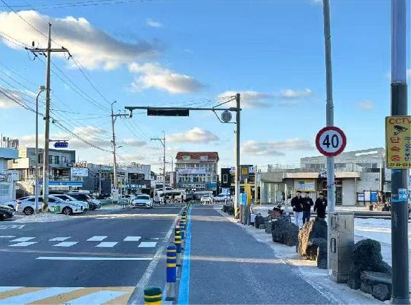 [Visa-free] Jeju Island, South Korea Day Tour: Seopjikoji + Udo Island + Seongsan Ilchulbong + Woljeongri