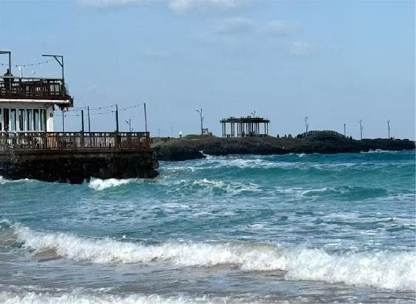[Visa-free] Jeju Island, South Korea Day Tour, Route A: Camellia Hill + Jusangjeolli Cliff + Aewol Cafe Street + Hyeopjae Beach