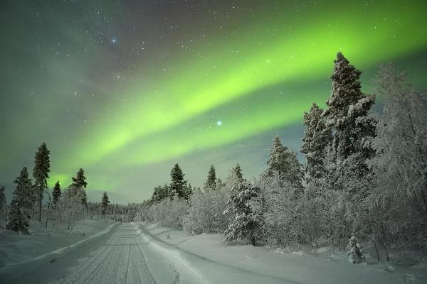5-Day Tour to See the Northern Lights in Fairbanks, Alaska (Fairbanks)