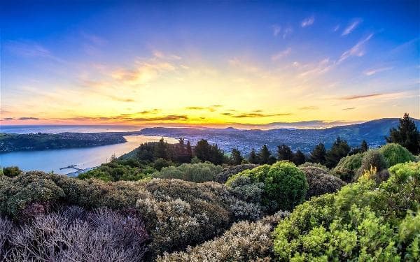 New Zealand North and South Islands • 10-Day Connection Tour • 7-Day Small Mercedes-Benz Group on the South Island + 4 Days on the North Island (Christchurch to Auckland)