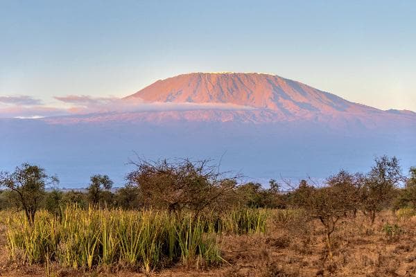 [Departures available for 1 person] 8-Day Kenya Tour: Safari 4x4 game drives + 3 park visits to see the Great Migration + flamingos at Lake Nakuru + Mount Kilimanjaro (round trip from Nairobi)