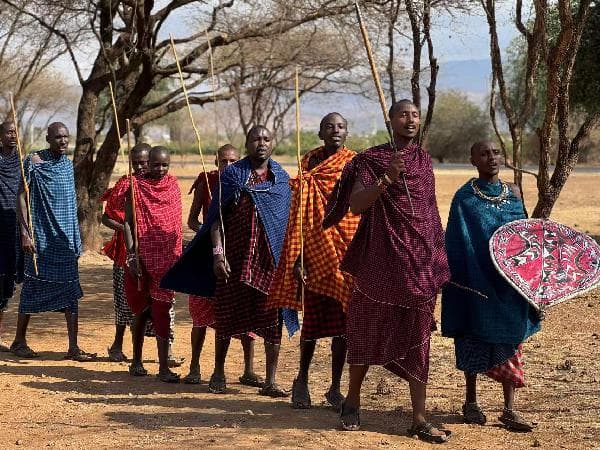 [Guaranteed departure with 1 traveler] 7-Day Tanzania Wild Adventure: Tarangire and Lake Manyara Included (Arrive and depart from Kilimanjaro)