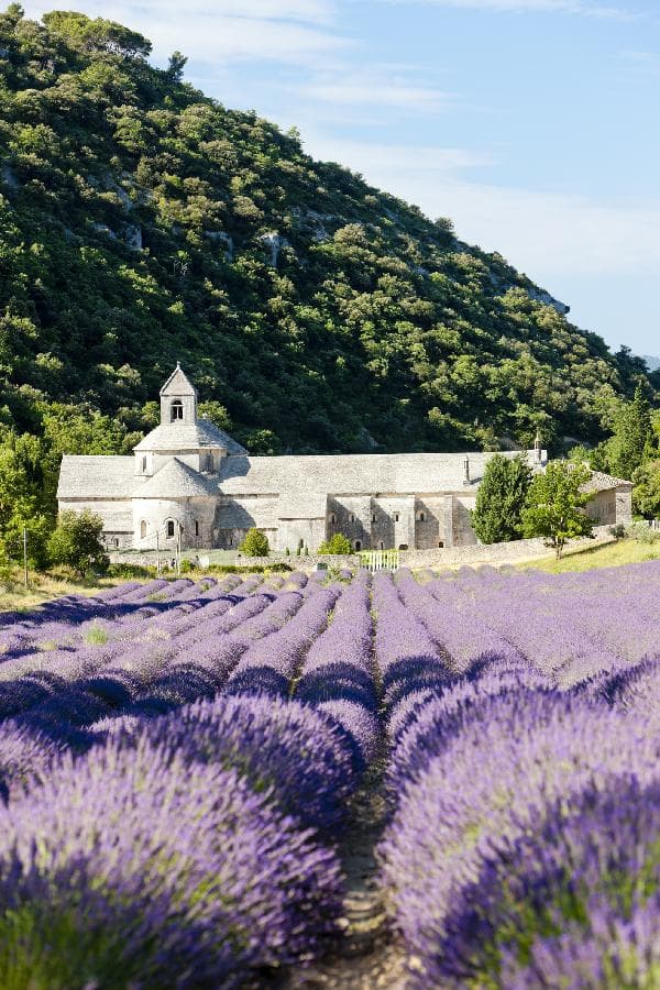 7-Day, 6-Night France, Spain and Andorra Pilgrimage