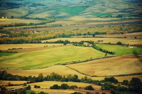 Italy Day Tour: Explore Val d'Orcia, Tuscany | Montepulciano + Historic Center of Pienza + Wine and Cheese Tastings (Departing from Rome · English-Speaking Group)