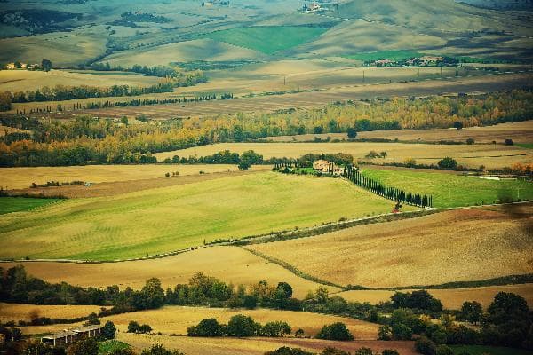Italy Day Tour: Val d'Orcia, Tuscany, Filming Location of Gladiator | Montalcino + Montepulciano + Pienza + Wine and Cheese Tastings Included (Departing from Florence · English-Speaking Group with Optional Chinese Audio Guide)