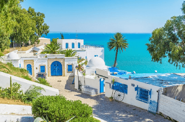 [Visa-Free] North Africa’s Pearl: Classic 6-Day Tour of Colorful Tunisia (English-speaking group)