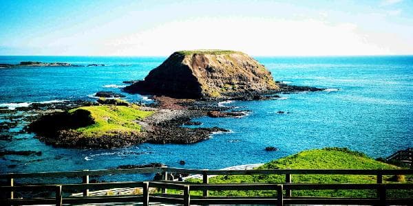 Australia Melbourne Day Tour: Brighton Bathing Boxes + Puffing Billy Steam Train + Phillip Island Penguins (Viewing Platform Upgrade Available / Bilingual Commentary / Penguin Parade)