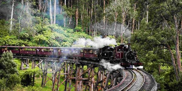 Australia Melbourne Day Tour: Brighton Bathing Boxes + Puffing Billy Steam Train + Phillip Island Penguins (Viewing Platform Upgrade Available / Chinese Service / Penguin Parade) [14-Person Mercedes Small Group]