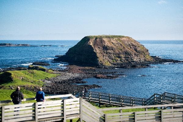 Australia Melbourne Day Tour: Penguin Island