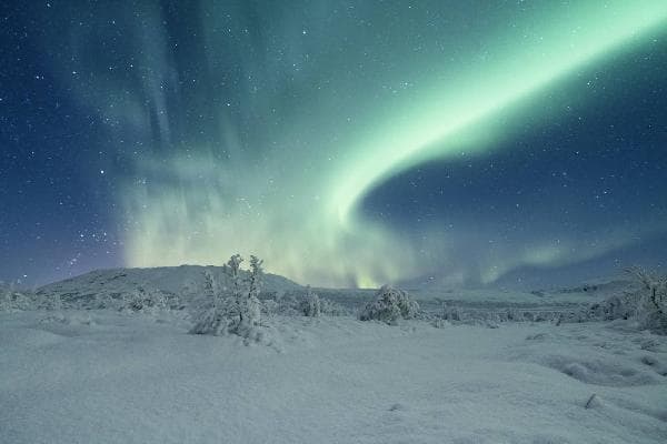 4-Day Aurora Adventure in Whitehorse, Canada (Whitehorse)