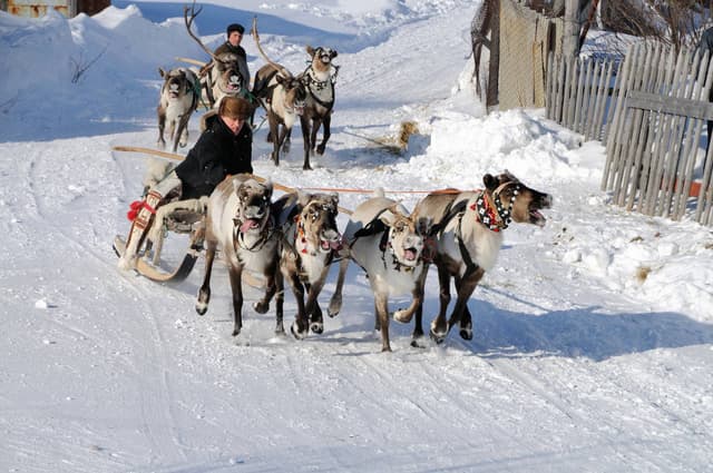 [Nordic Private Tour] Arctic Frontier · Finland-Norway Icebreaker and Northern Lights Exploration: 5-Day Private Tour (Kemi to Kirkenes)