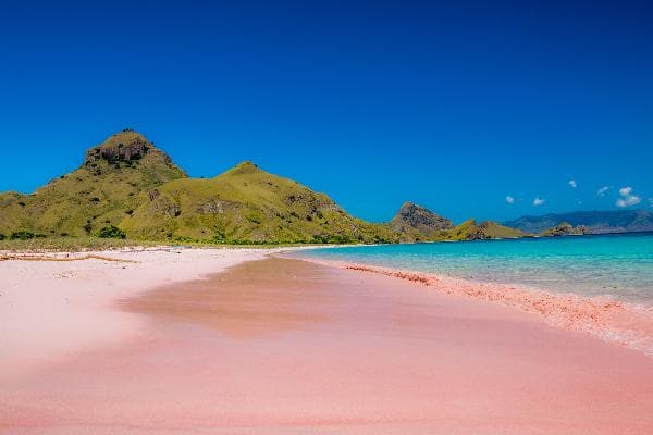Surabaya, Indonesia • Bali • Komodo: 8 Days, 7 Nights | Mount Bromo + Mount Ijen + Lovina Dolphin Watching + Ubud Rice Terraces + Nusa Penida West Coast + Cliffside Road + Komodo (English-Speaking Small Group of 9)